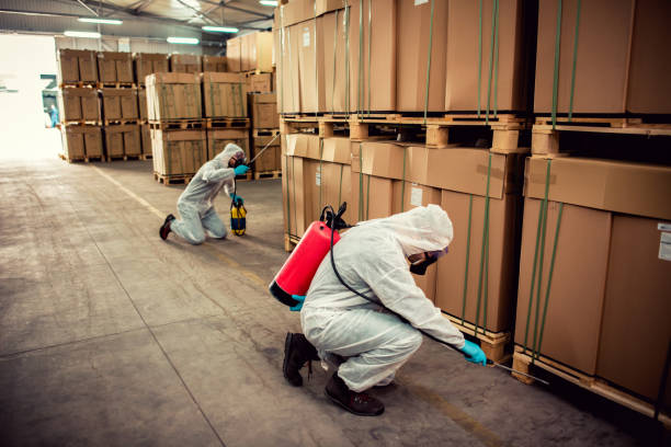 Best Pest Prevention Services  in Mammoth Lakes, CA