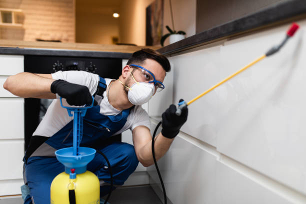 Best Best Pest Control Companies  in Mammoth Lakes, CA