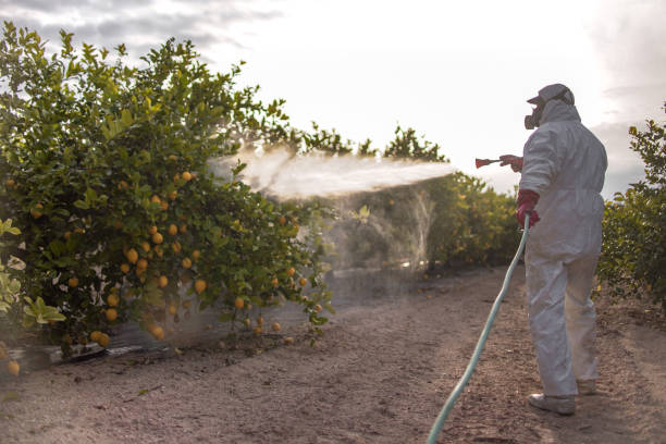 Pest Control Cost in Mammoth Lakes, CA