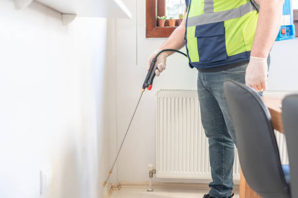 Professional Pest Control in Mammoth Lakes, CA