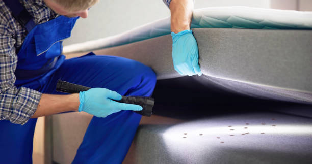 Best Pest Removal Services  in Mammoth Lakes, CA