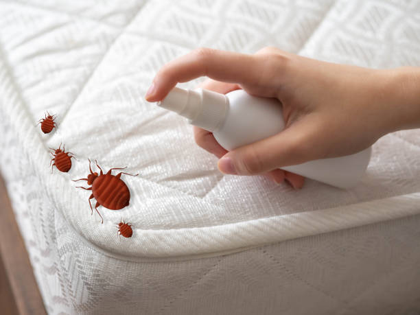 Best Best Pest Control Companies  in Mammoth Lakes, CA