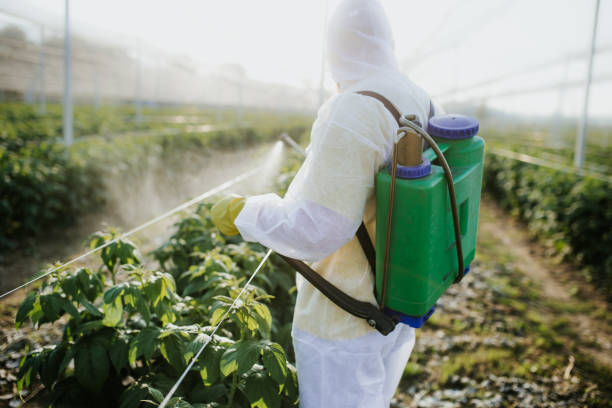 Best Commercial Pest Control Services  in Mammoth Lakes, CA